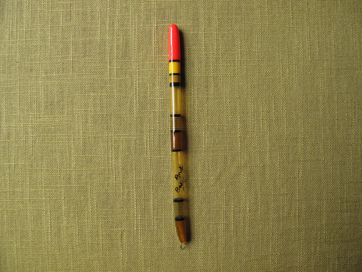 Image of Cured Goose Quill float (F)