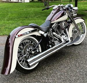 Image of PATRIOT GENESIS LOWERING SPRINGS 41MM