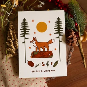 red fox white pine print