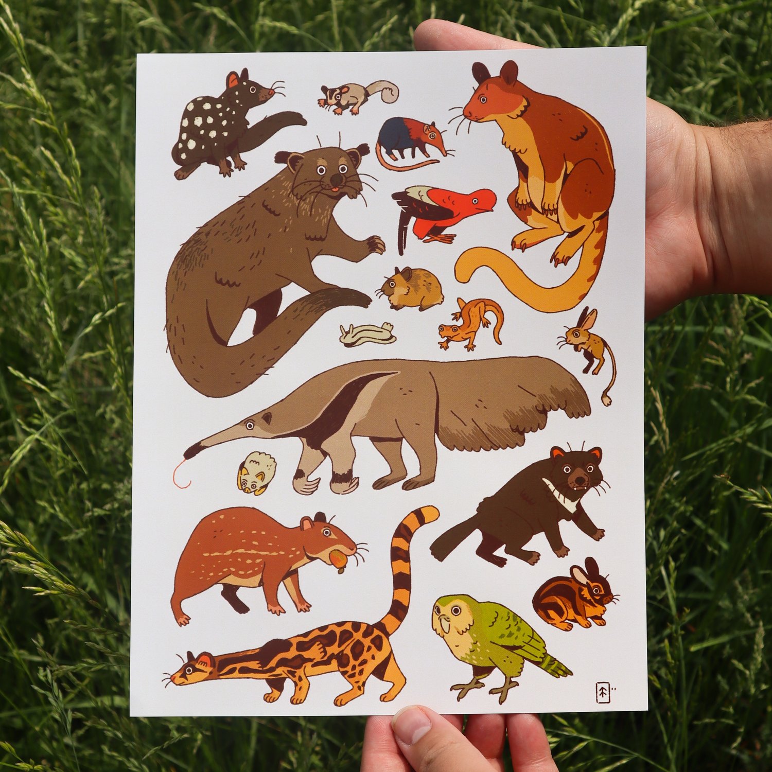 Funky Critters Print