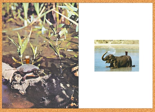 Image of 【Signed】'YOU RUN AROUND TOWN LIKE A FOOL AND YOU THINK THAT IT'S GROOVY 2 - book