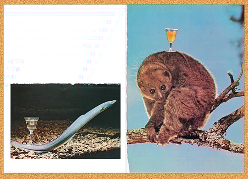 Image of 【Signed】'YOU RUN AROUND TOWN LIKE A FOOL AND YOU THINK THAT IT'S GROOVY 2 - book