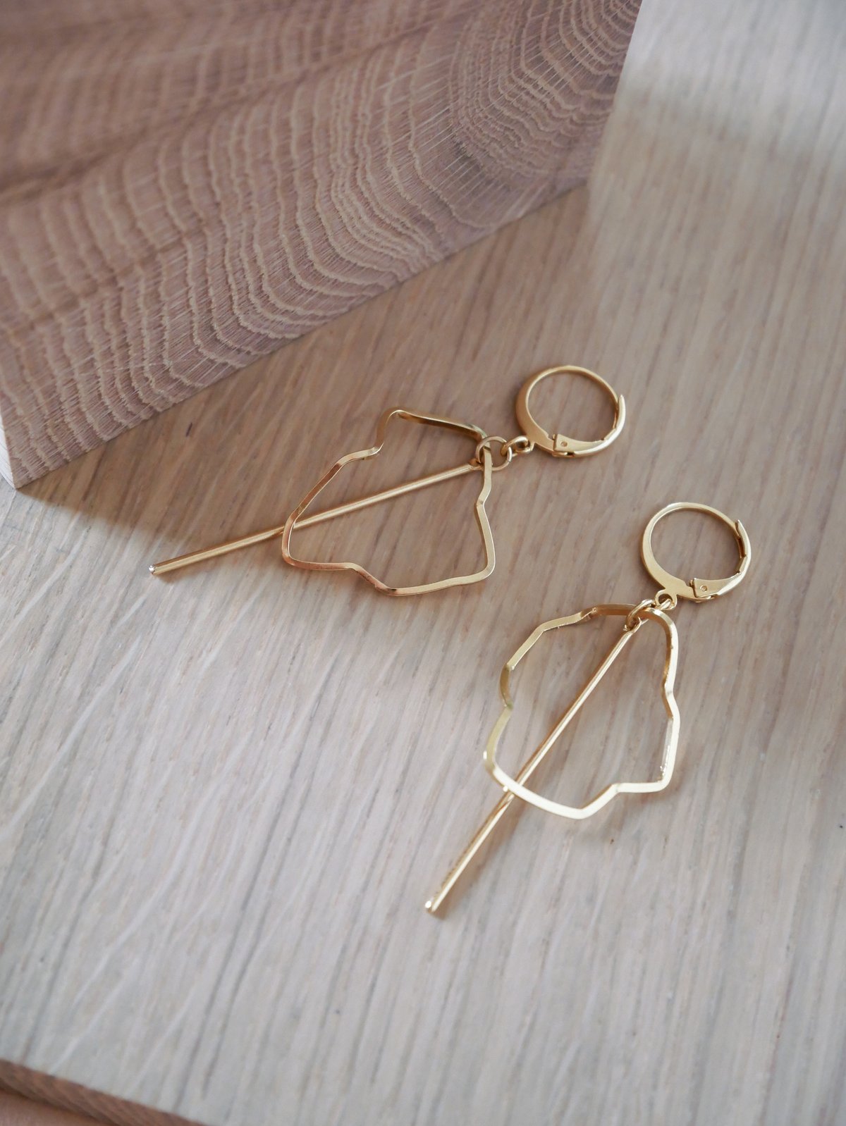 Image of Boucles d'Oreilles LEEHI