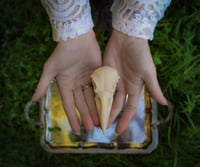 Image 1 of “Petit Morte” Skulls - Nutrient-Rich, Moisturising & Cleansing Pure Castile Soaps