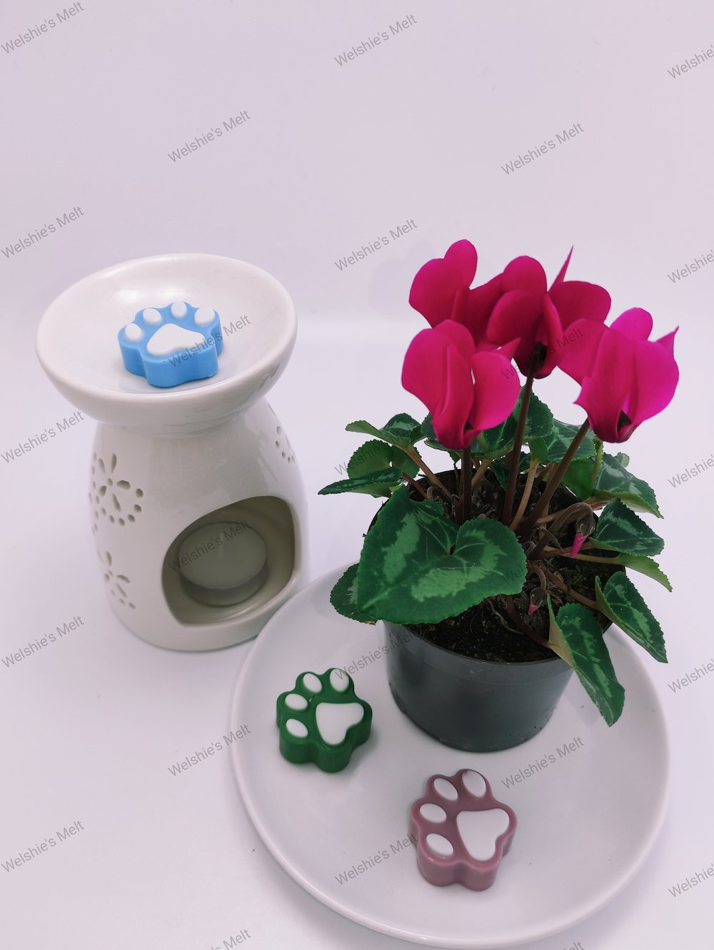 Paw Print Wax Melts 