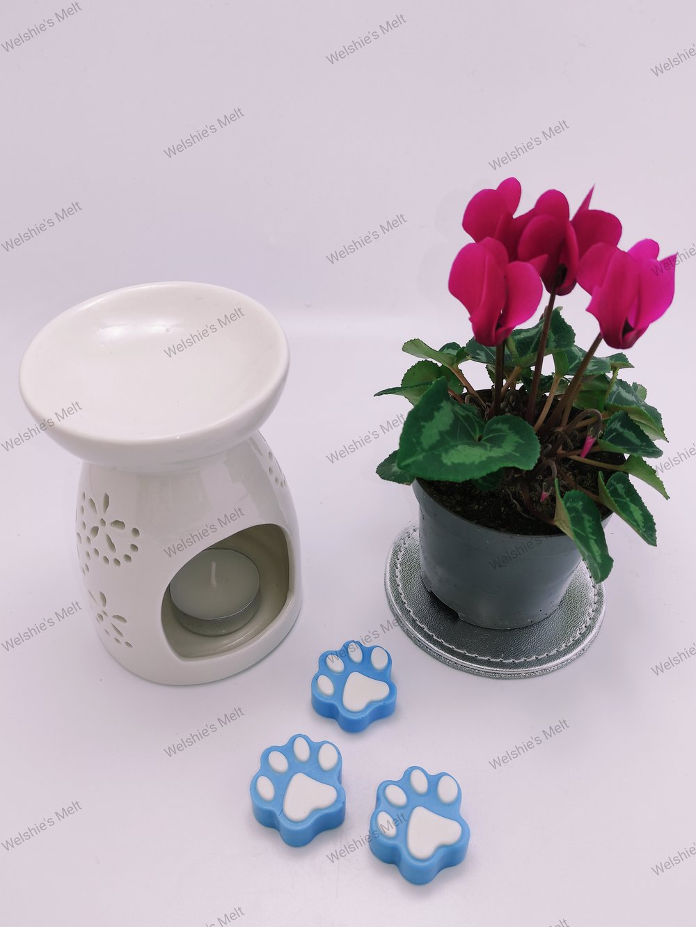 Paw Print Wax Melts