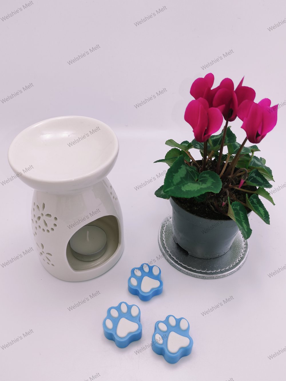 Paw Print Wax Melts 