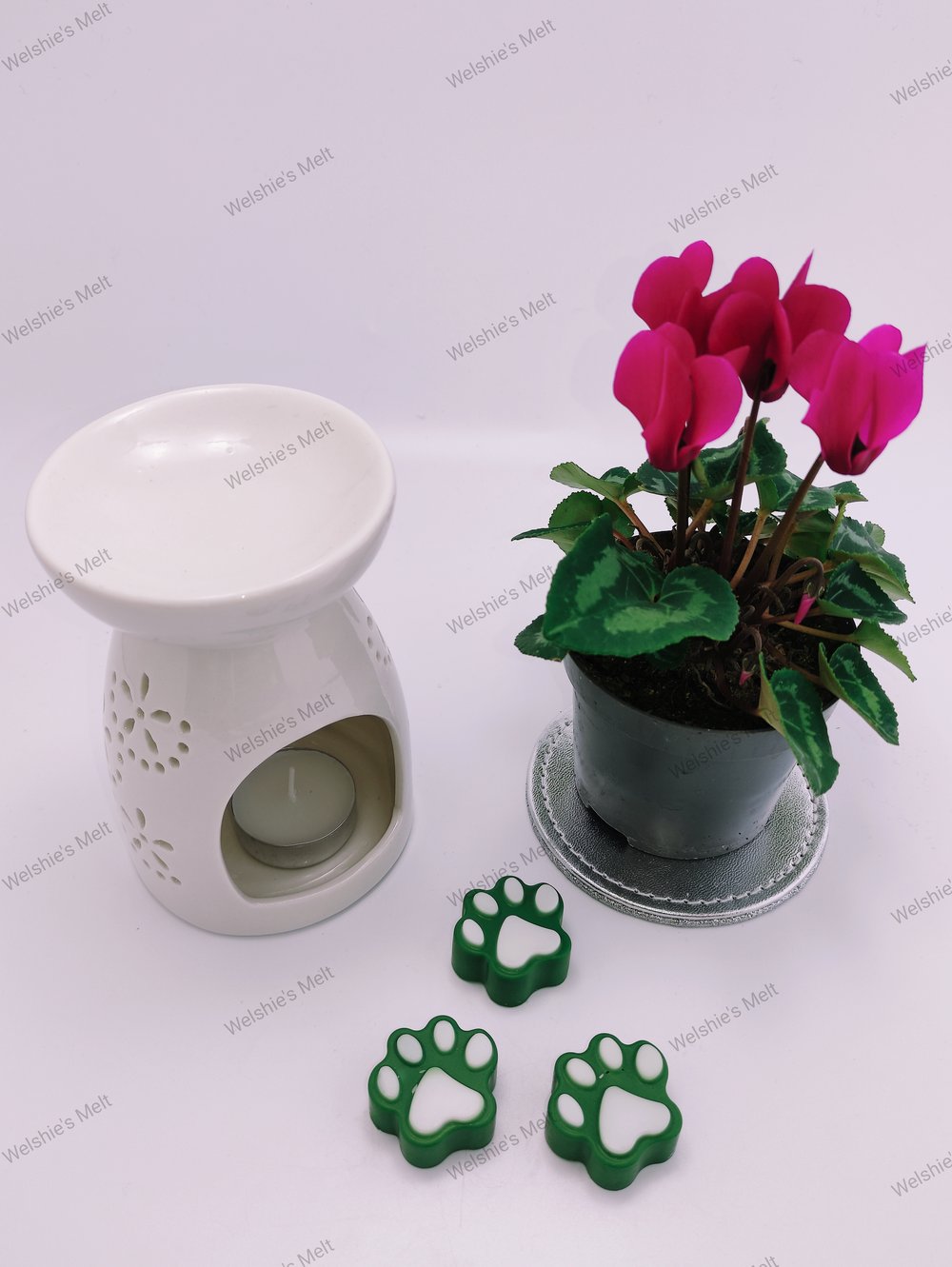 Paw Print Wax Melts