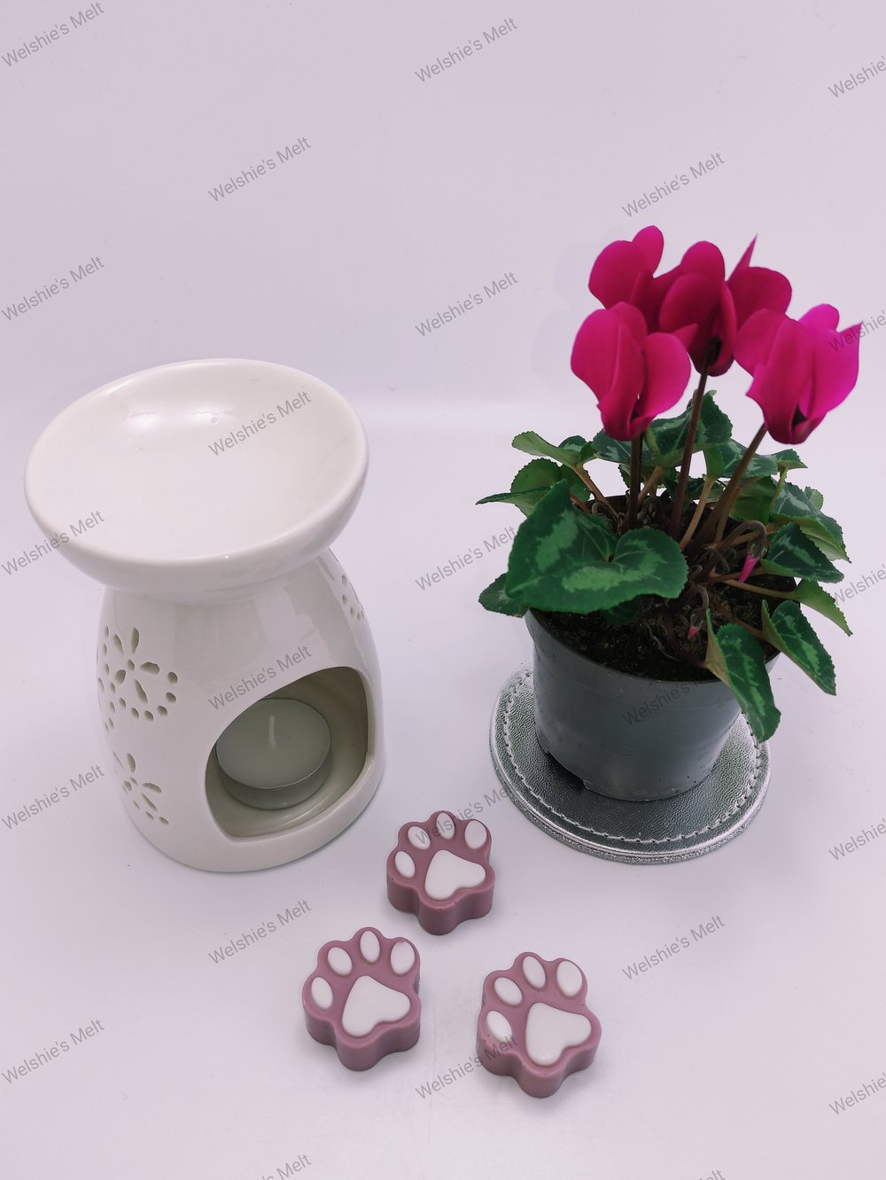 Paw Print Wax Melts