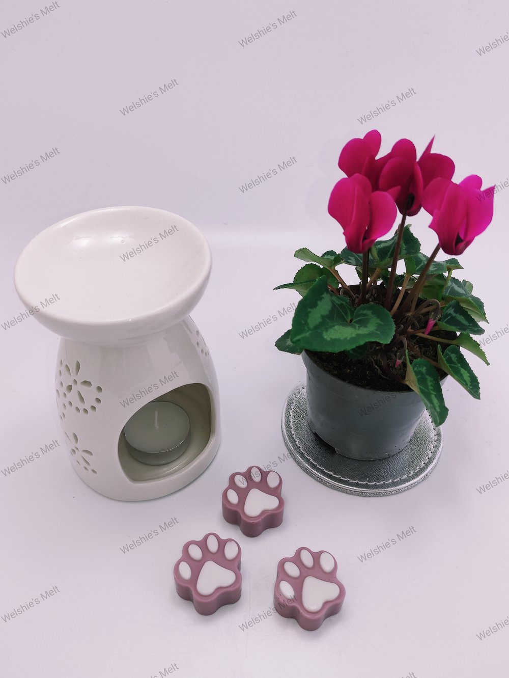 Paw Print Wax Melts 