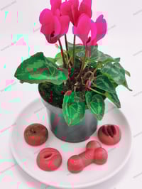 Image 4 of Naughty Melts