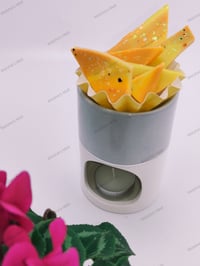 Image 3 of Wax Brittle