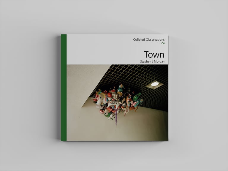 Town by Stephen J Morgan (Collated Observations 24)