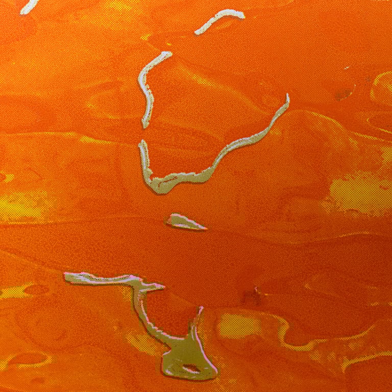 Discowater Image 5