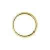 Bardot - Segment Ring 24K Gold PVD (Surgical Steel, 1.2 mm)
