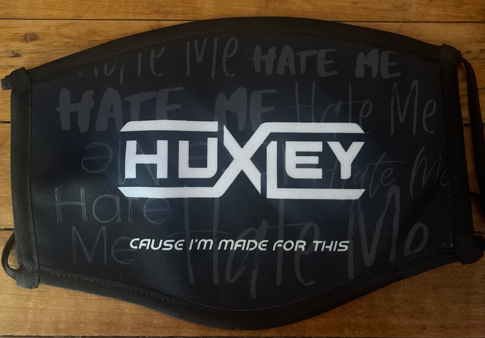 Image of HATE ME Mask