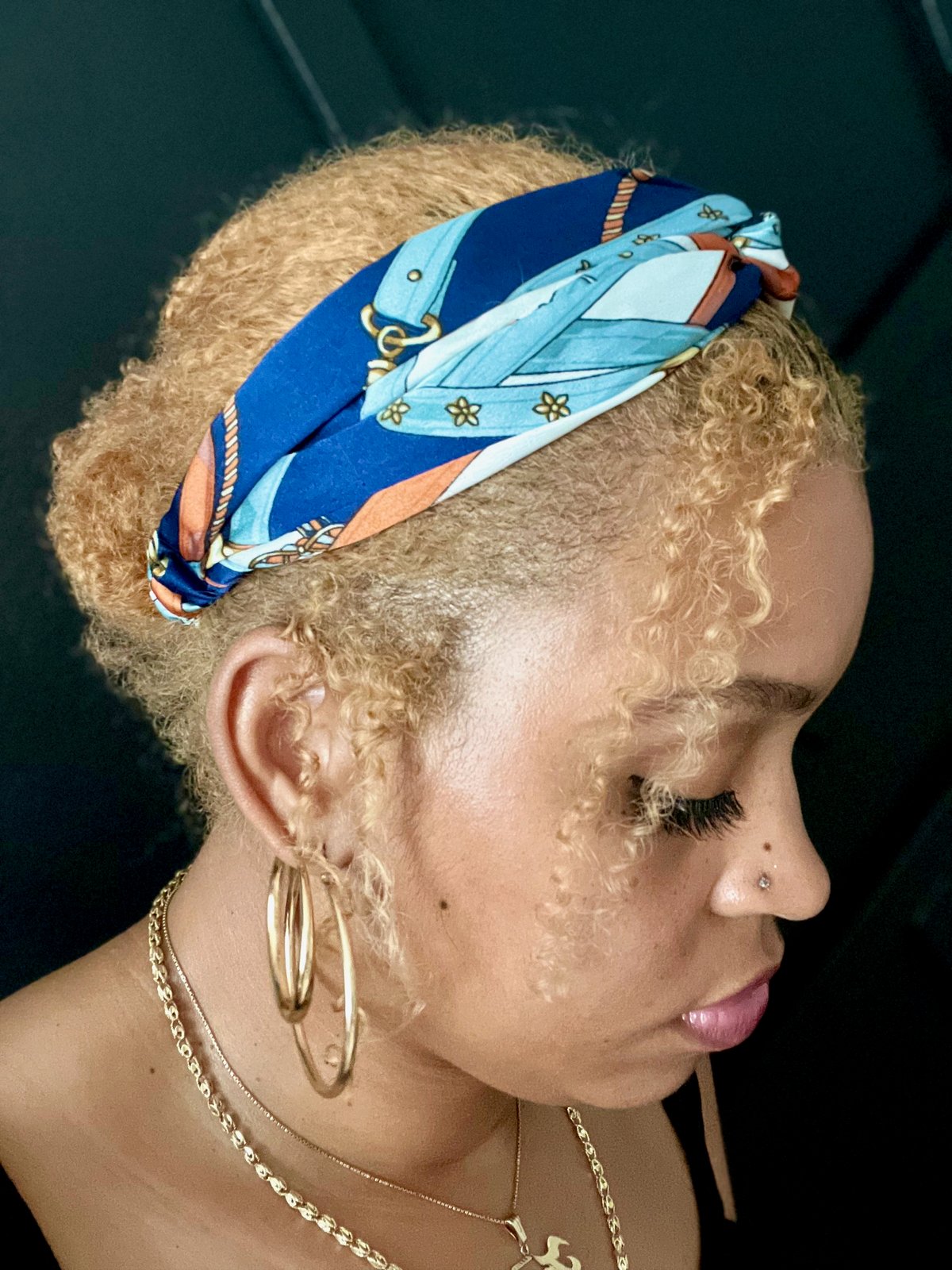 Image of Blue Headbands