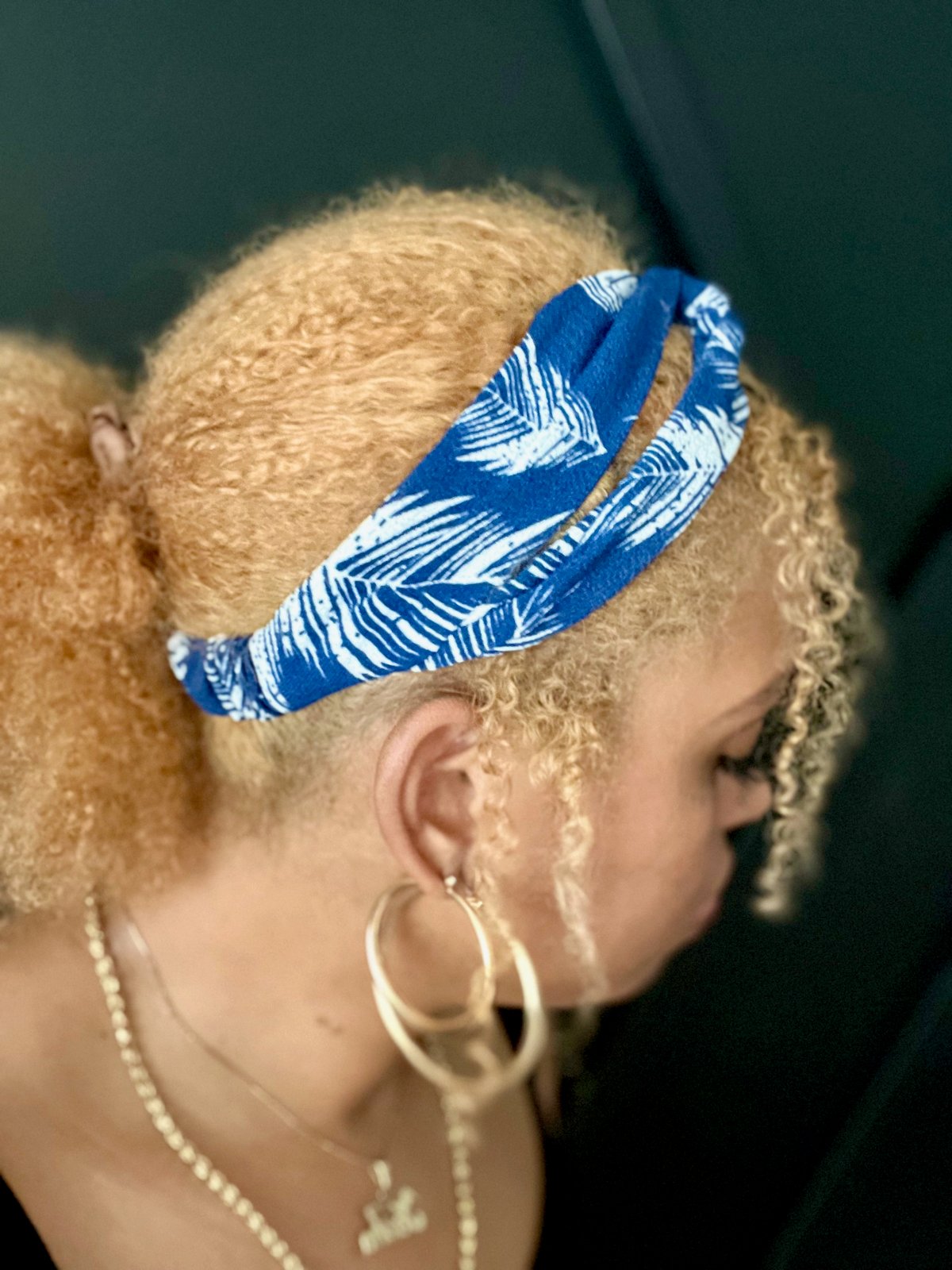 Image of Blue Headbands