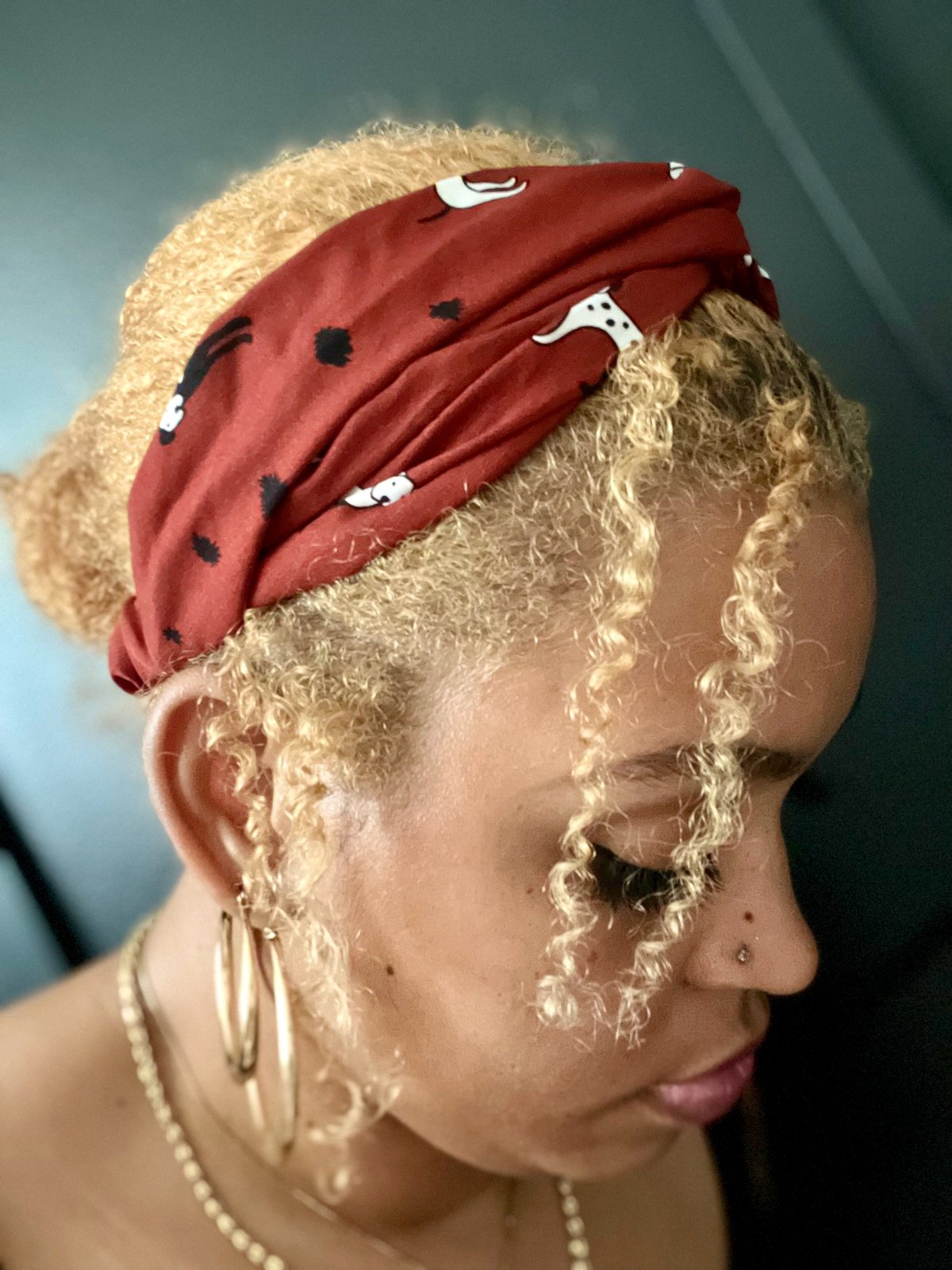 Image of Red Headbands