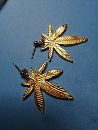 Canna Leaf Studs 🌿 | Earrings