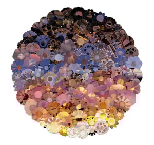Bloom (California Coasts)