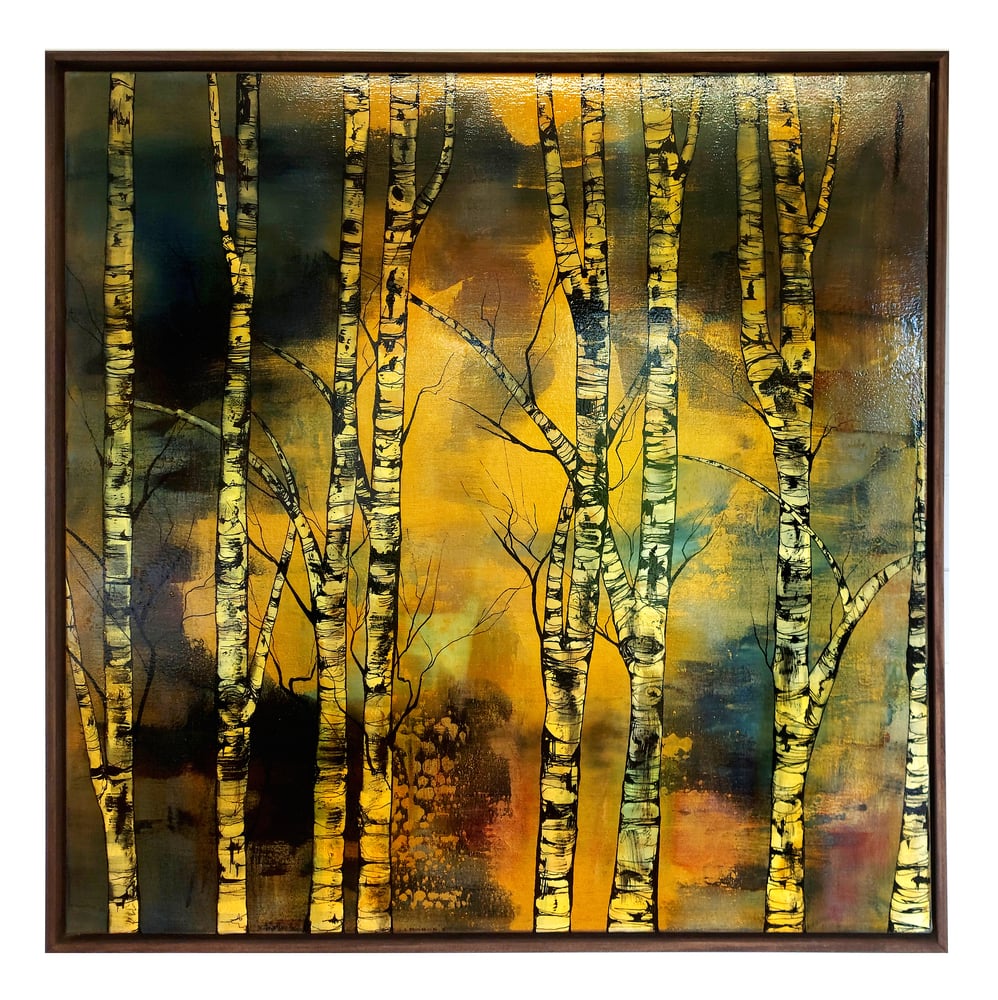 Image of Original Canvas - Golden Birches - 100cm x 100cm