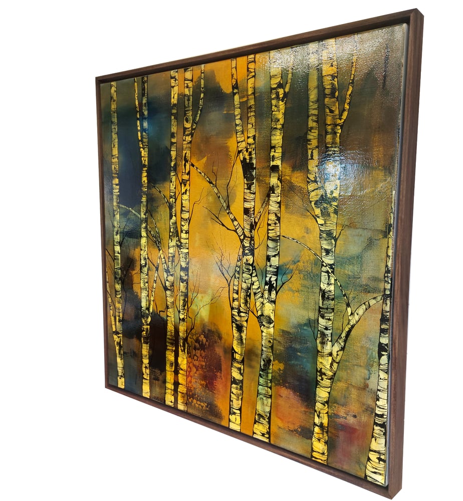 Image of Original Canvas - Golden Birches - 100cm x 100cm