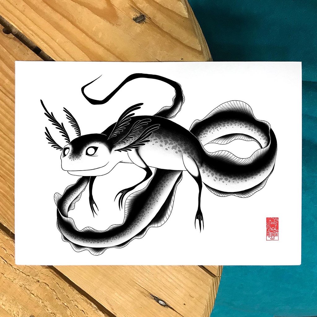 Axolotl (Fine Art Print)