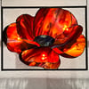 Poppy