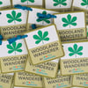 Spotty Dawdlers - Woodland Wanderer