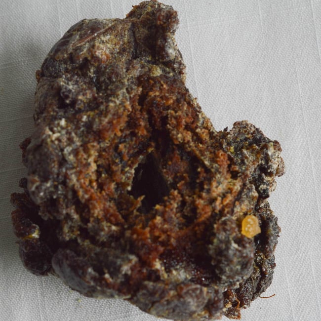 Résines de Pin Blanc