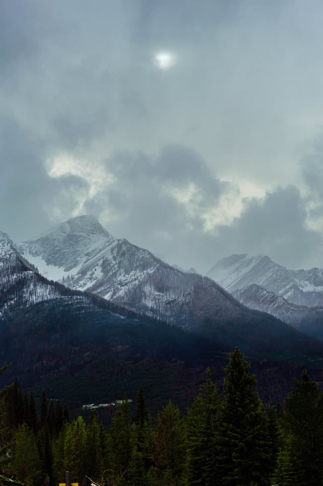 Pinacle - Sérum de résines