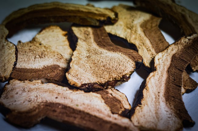 Reishi Sauvage Séché 2025