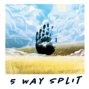 Image of The 5 Way Split