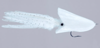 Image of Alberto's Squid