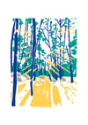 Forêt de Fontainebleau