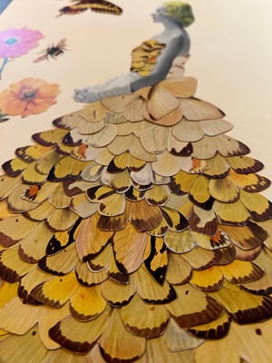 Image of Float like a butterfly, sting like a bee. Original framed paper collage.