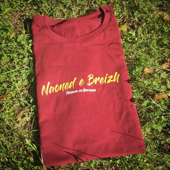 Image of T-shirt "NAONED E BREIZH - Décidons en Bretagne" mixte BORDEAUX (Bio & Équitable)