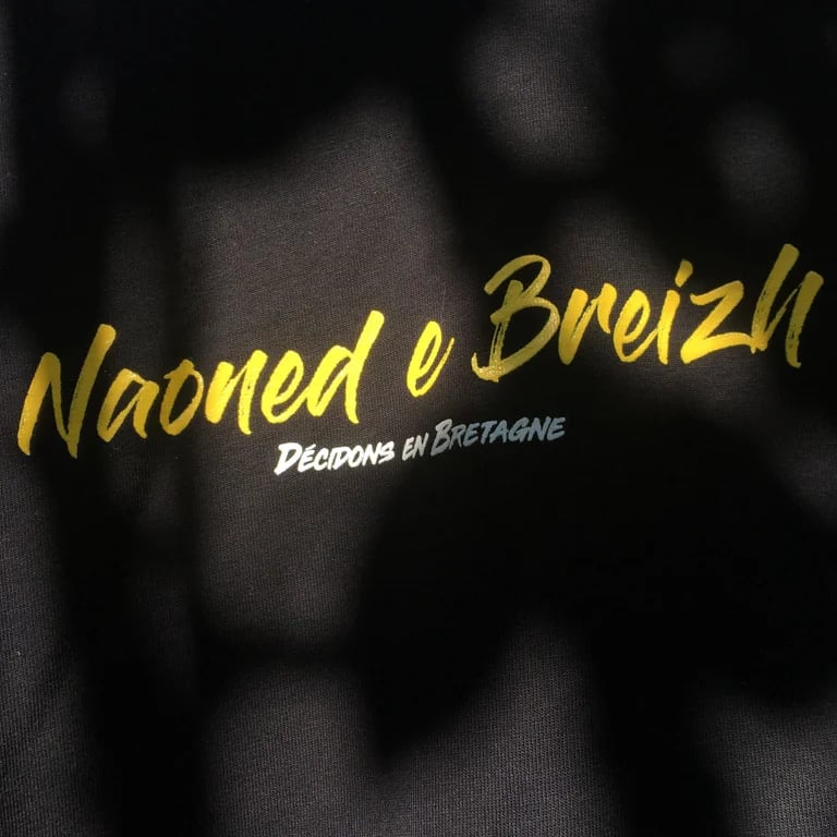Image of T-shirt "NAONED E BREIZH - Décidons en Bretagne" mixte NOIR (Bio & Équitable)