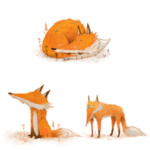 Image of A skulk of foxes