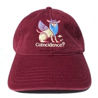 Image 5 of Coincidedence? Hat 