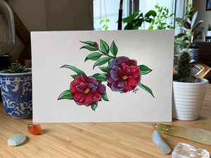 Two camellias