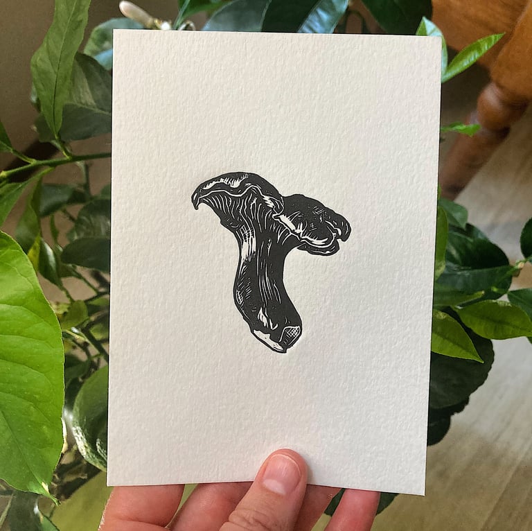 Chanterelle Image 3