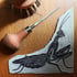 Mantis Image 3