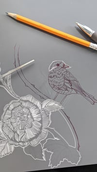 Image 3 of Resting Birds 