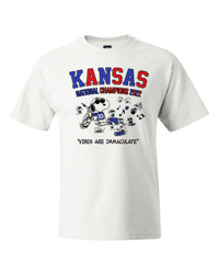 VIBES ARE IMMACULATE