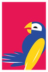 Oiseaux #1 - Perroquet