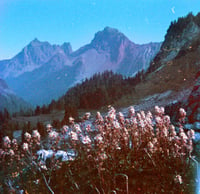 Image 1 of Heimatfilm I.