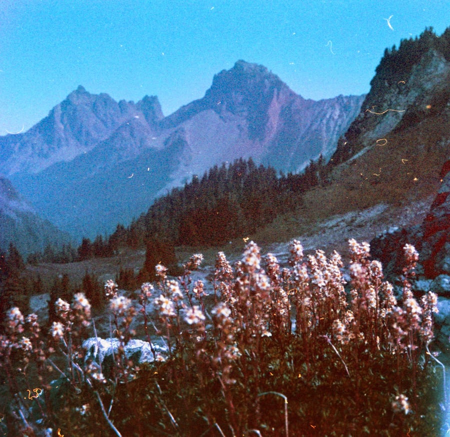 Image of Heimatfilm I.