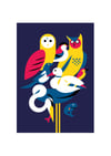 Oiseaux All